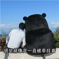 搞笑版熊本熊可爱表情包 感觉就像是一直被牵挂着