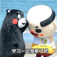 熊本熊系列搞笑猥琐表情 同一个世界同一个妈