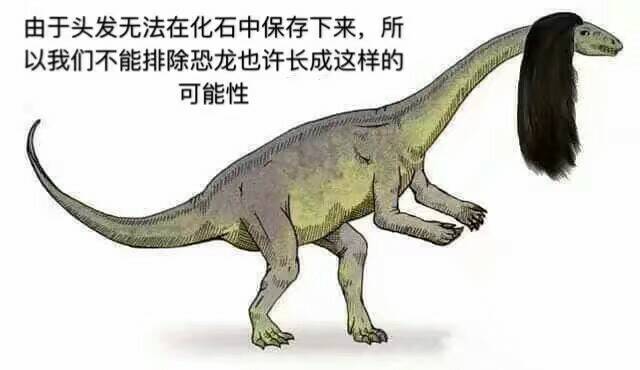 由于头发无法在化石中保存下来，所以我们不能排除恐龙也许长成这样的可能性