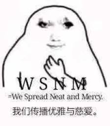 WSNM（我们传播优雅与慈爱）