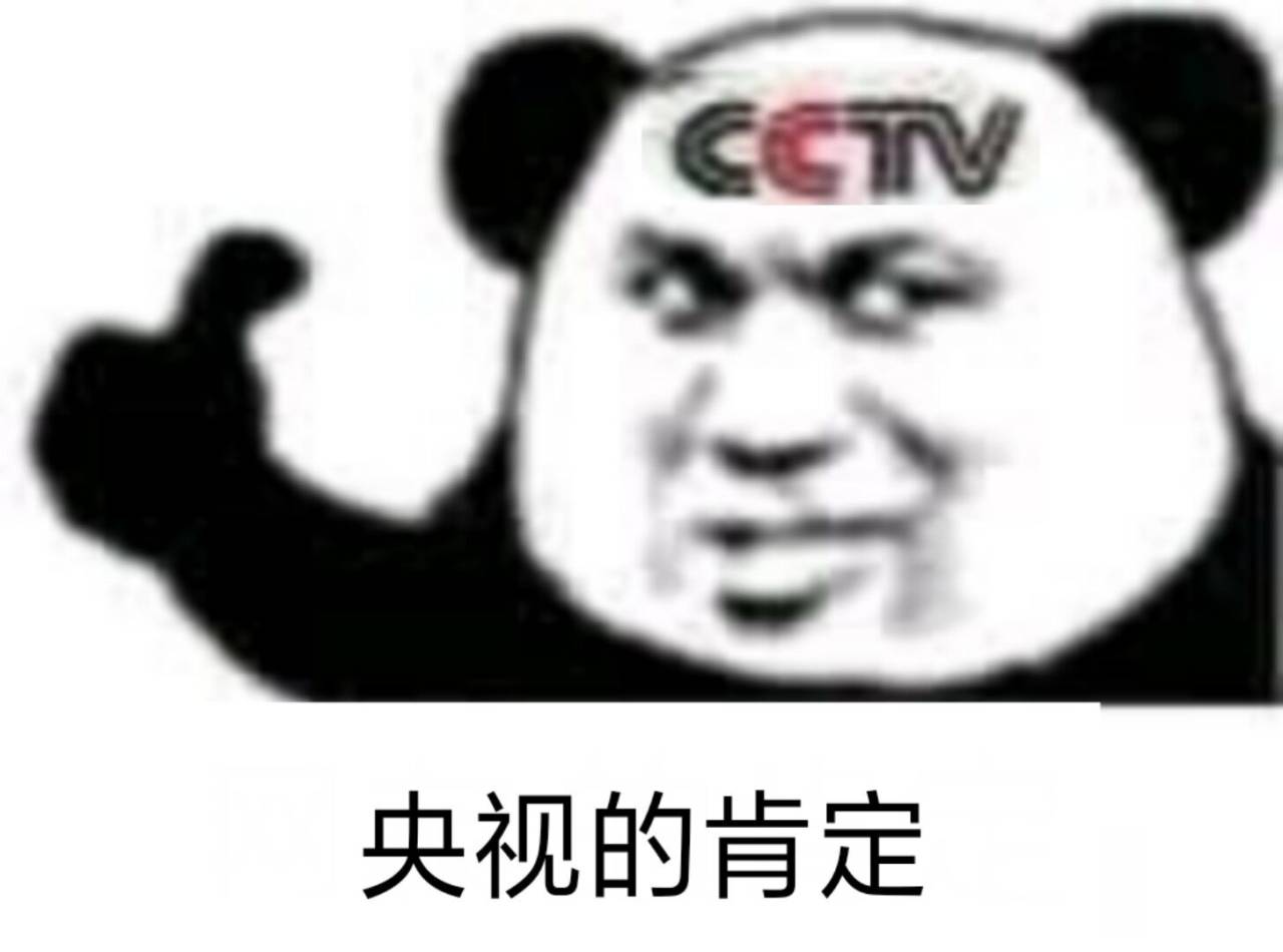 CCTV 央视的肯定