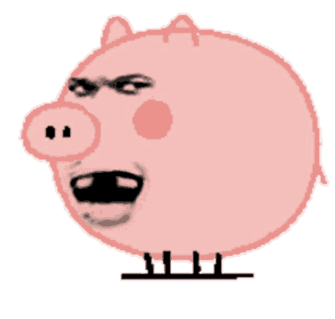 假装猪猪