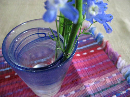 创意插花—两个杯子做花器
