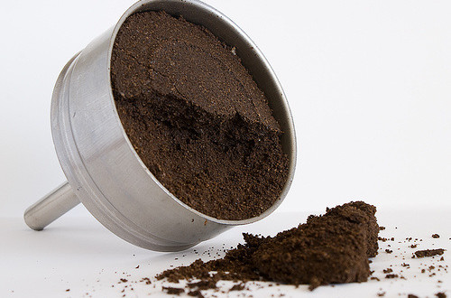 咖啡渣可以做花肥吗 咖啡渣如何做花肥