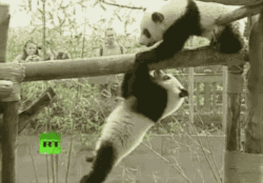 熊猫掉下去