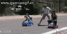 狗狗和人玩推车的gif动态图片