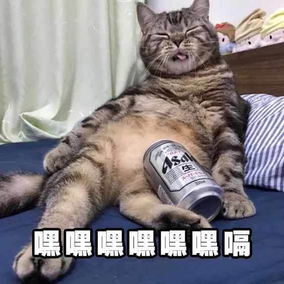 猫猫喝酒 