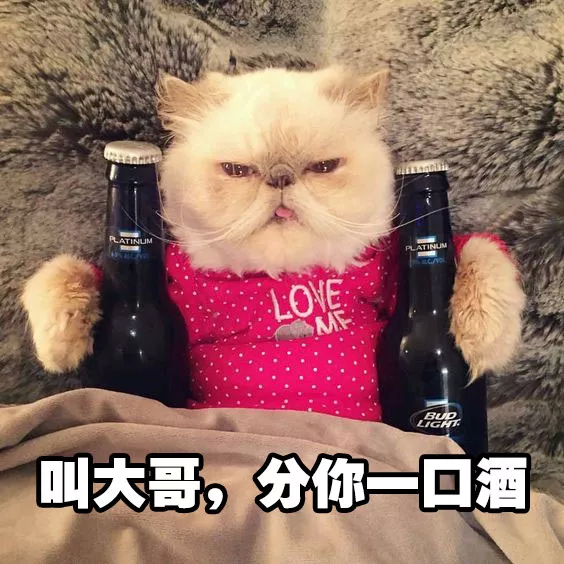 猫猫喝酒 